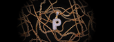 Playerscloset719